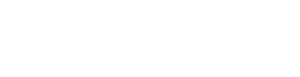 resin-link logo white